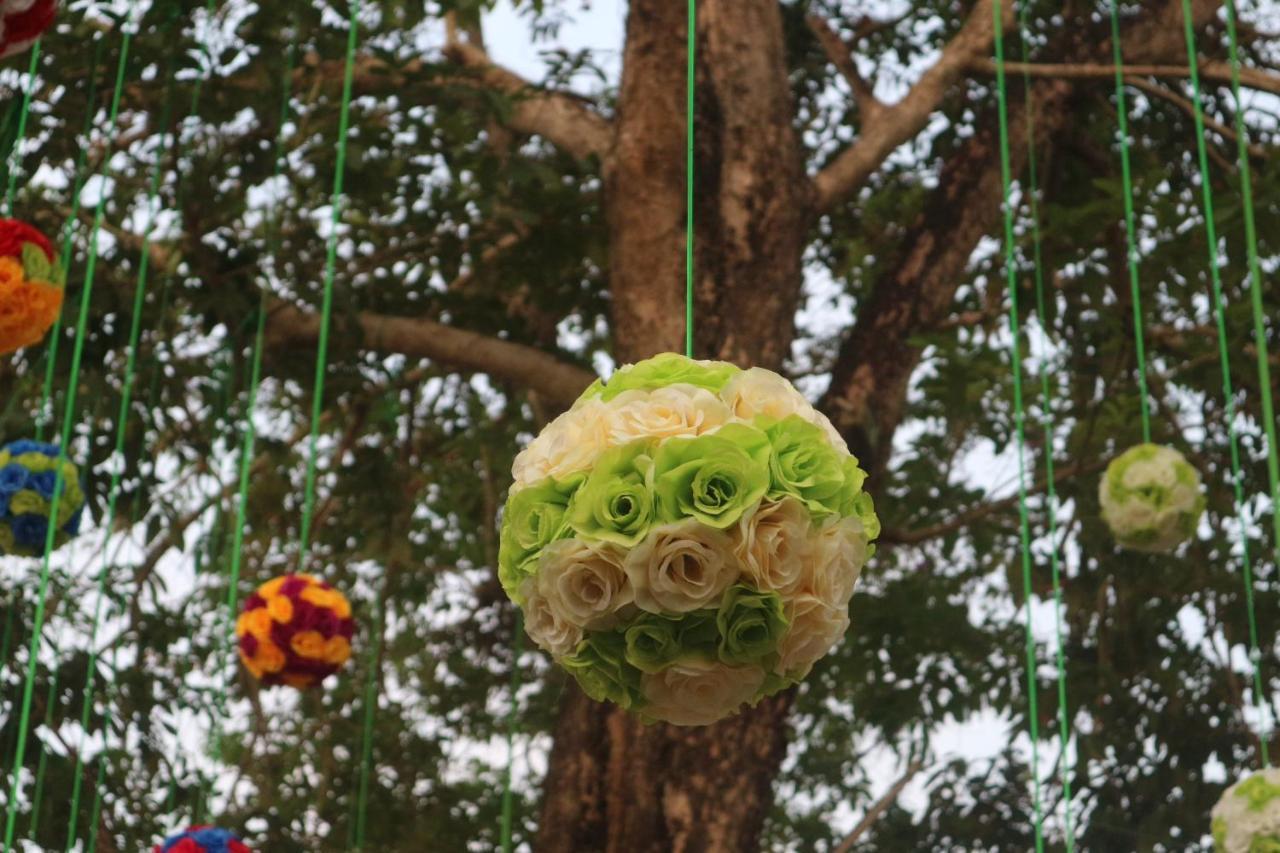 Sadec Farmstay - Khu Du LịCh Hoa KiẻNg Sa DéCAp Khanh Nghia エクステリア 写真